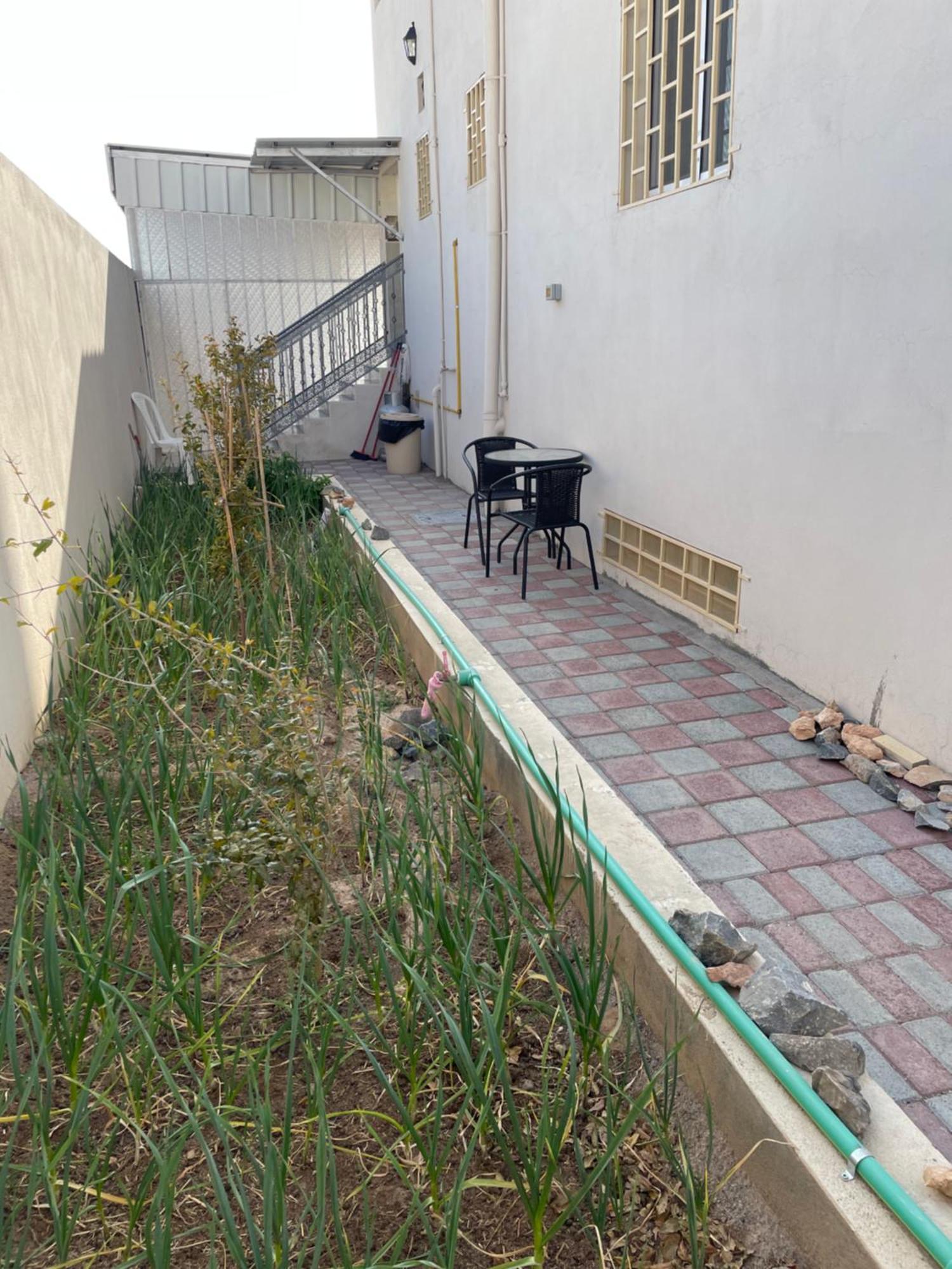 Apartment In Bayt Al Jabal شقة في بيت الجبل Sayq Exterior photo